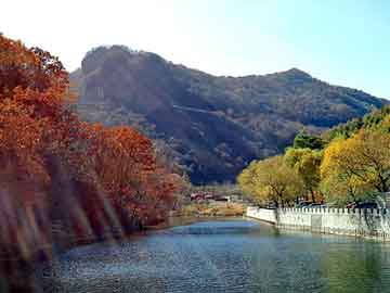 新澳天天开奖资料大全旅游团，黄石seo排名